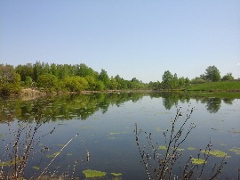 20120329_225442.jpg